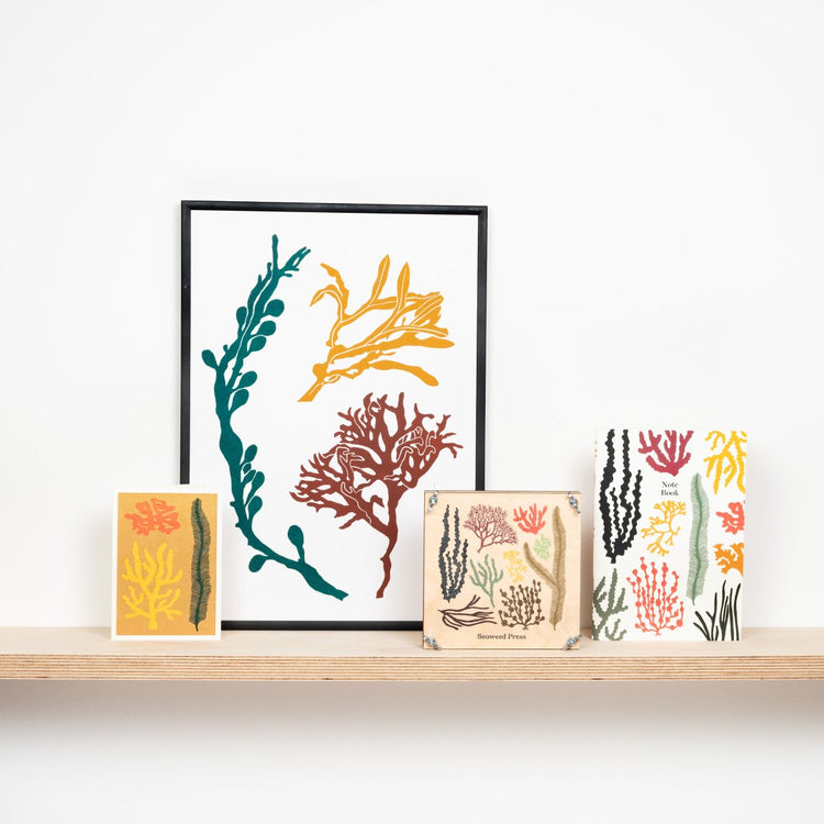 Seaweed Collection