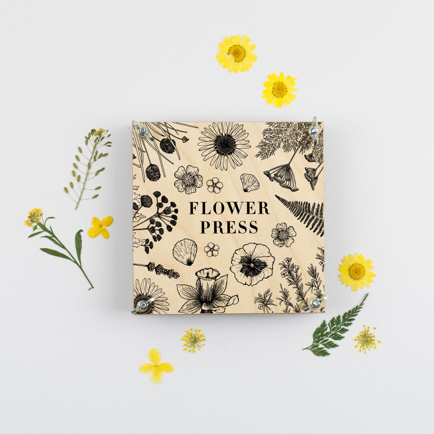 Flower Press - Line Drawing