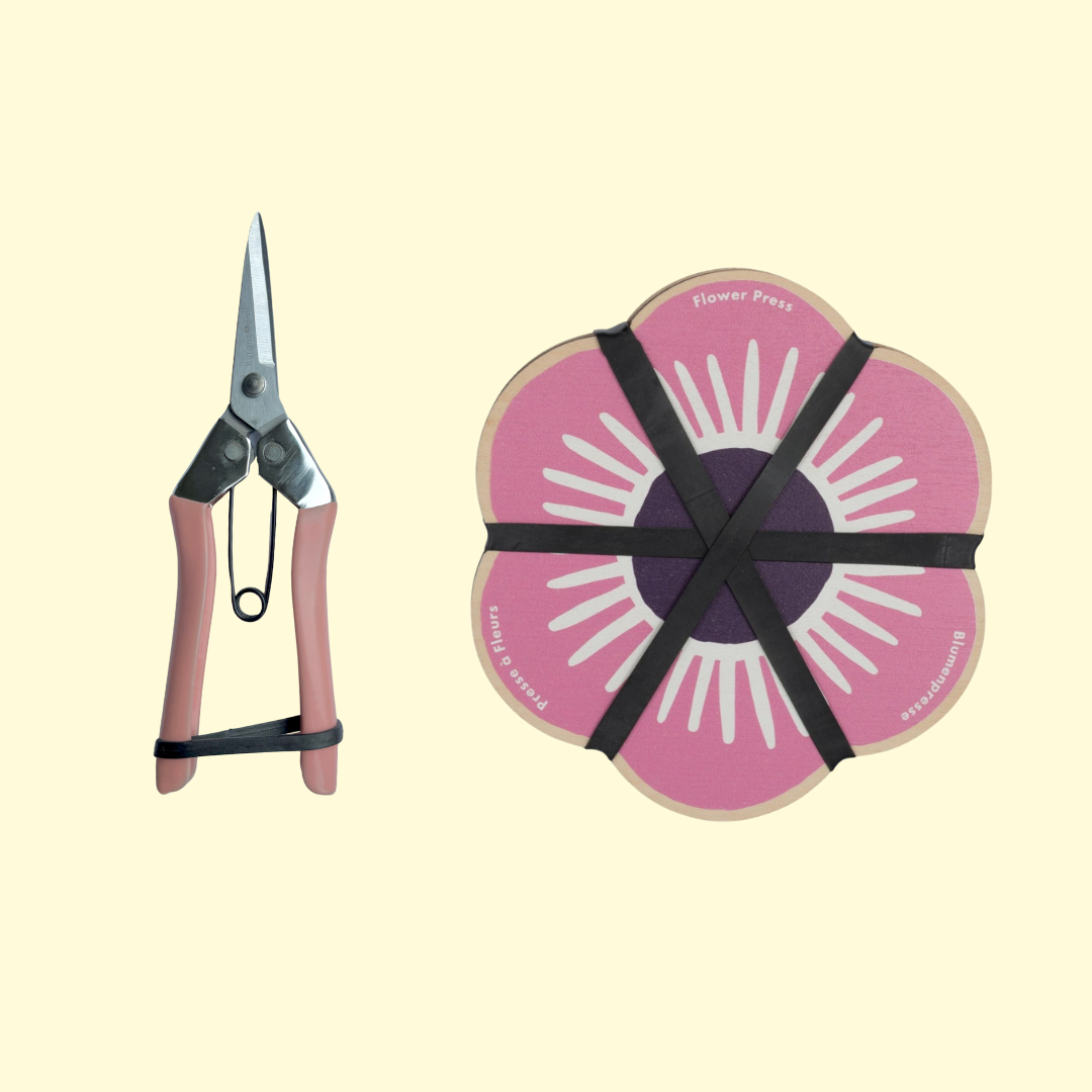 Botanical Gift Set: Flower Press & Blush Pink Snips 03
