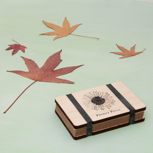 Pocket Flower Press - Daisy Line Drawing
