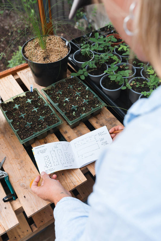 Gardener's Diary - Vintage Cornflower