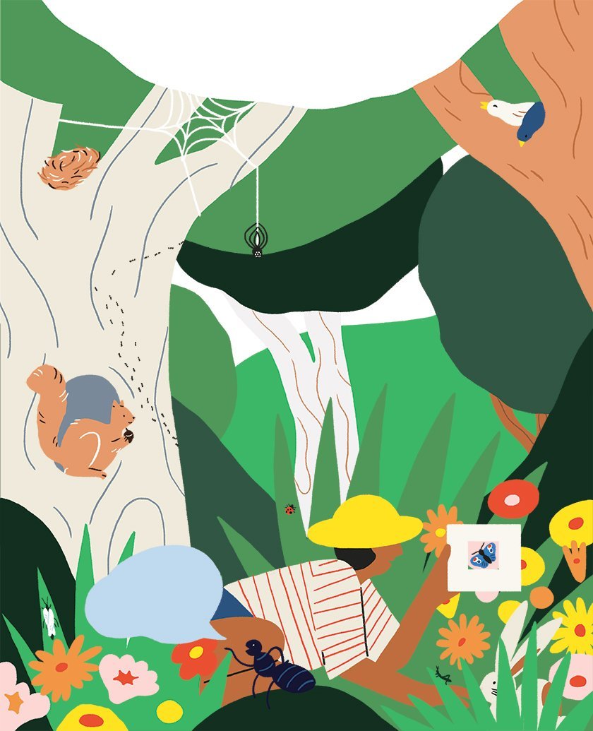 Let's Play Outside Book