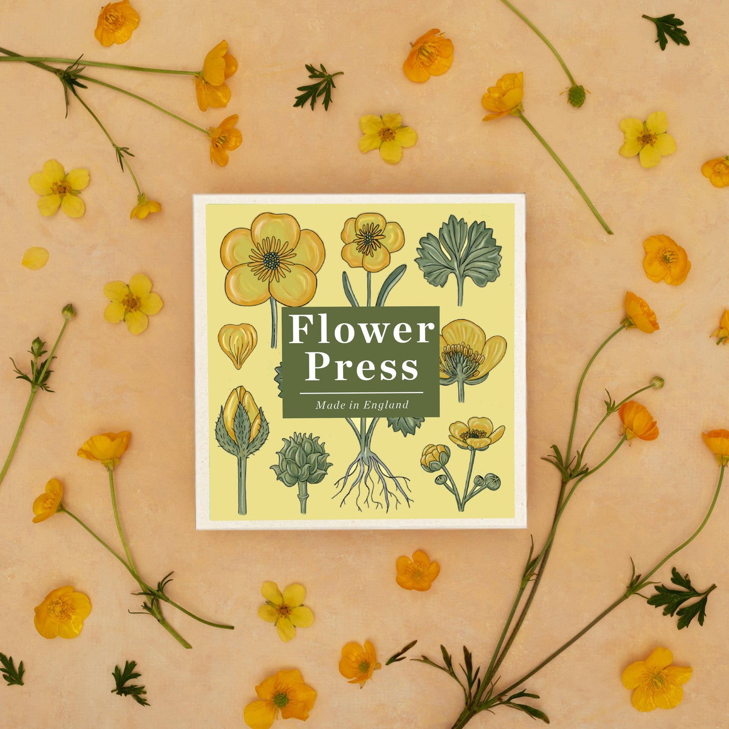 PREORDER - Flower Press - Buttercup