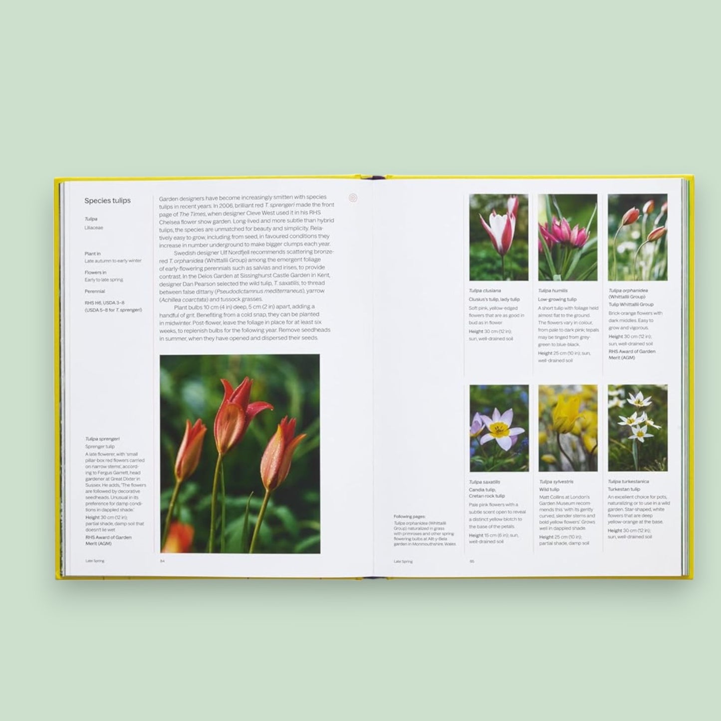 A Year in Bloom: Flowering Bulbs For Gardeners Book