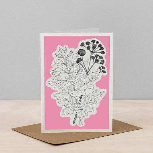 All Occasions Greetings Card - Herbs Line 6