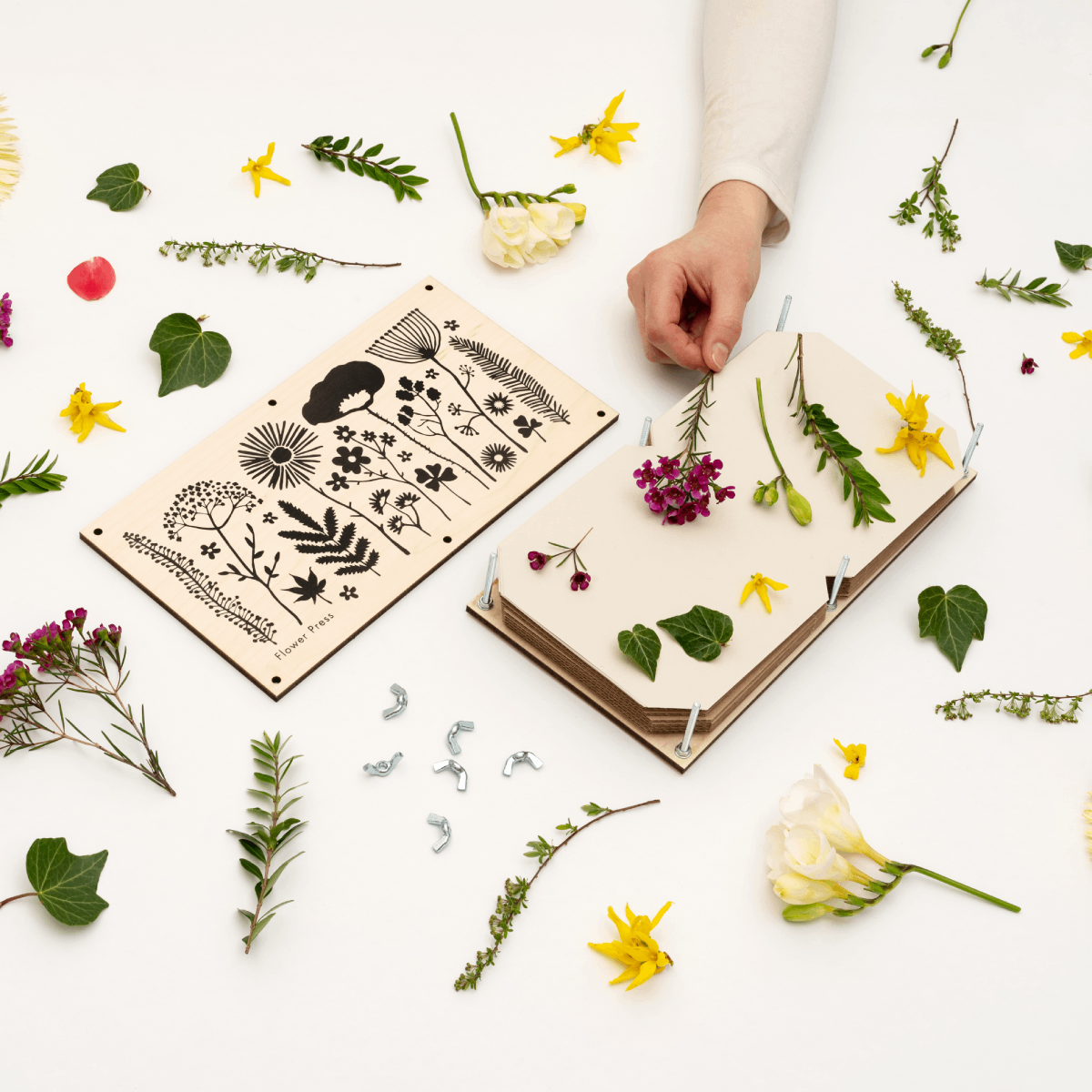 Extra Large Flower Press with Floral Silhouette Design by Studio Wald