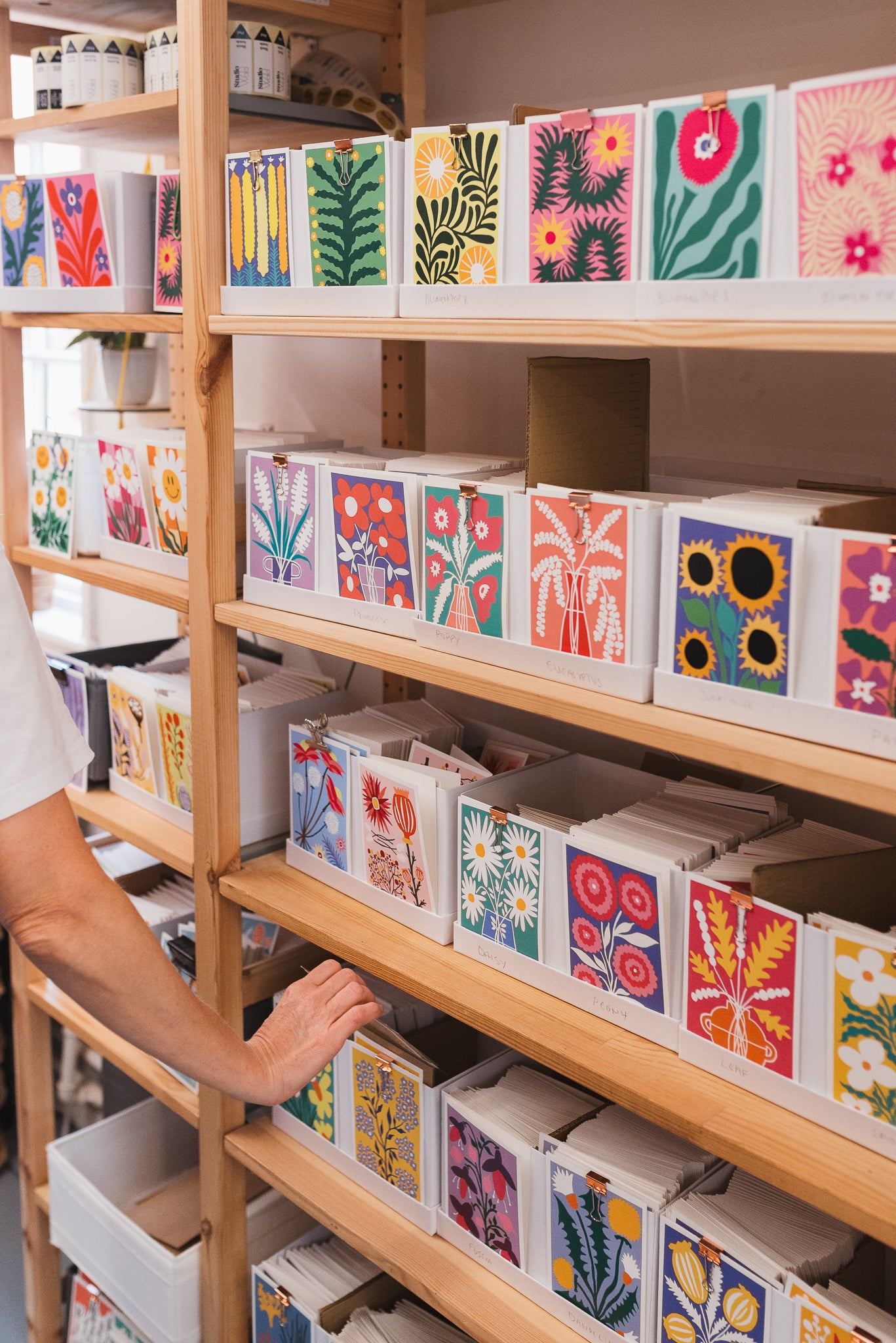 5 Card Mystery Bundle