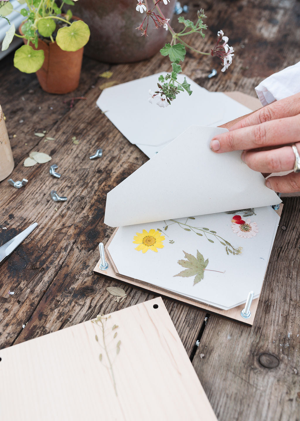Botanical Gift Set: Flower Press, Garden Snips & Planting Book 06