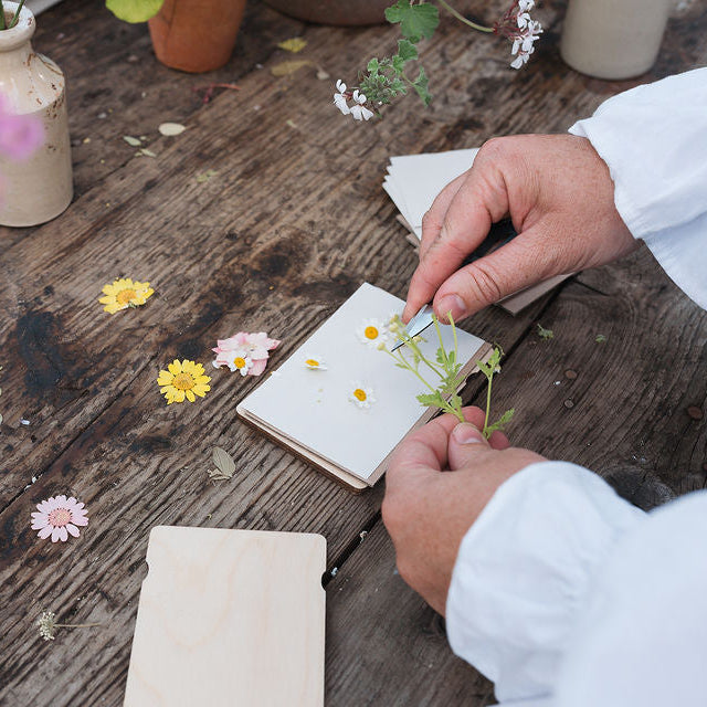 Botanical Gift Set: Cosmos Pocket Press & Precision Garden Snips 09