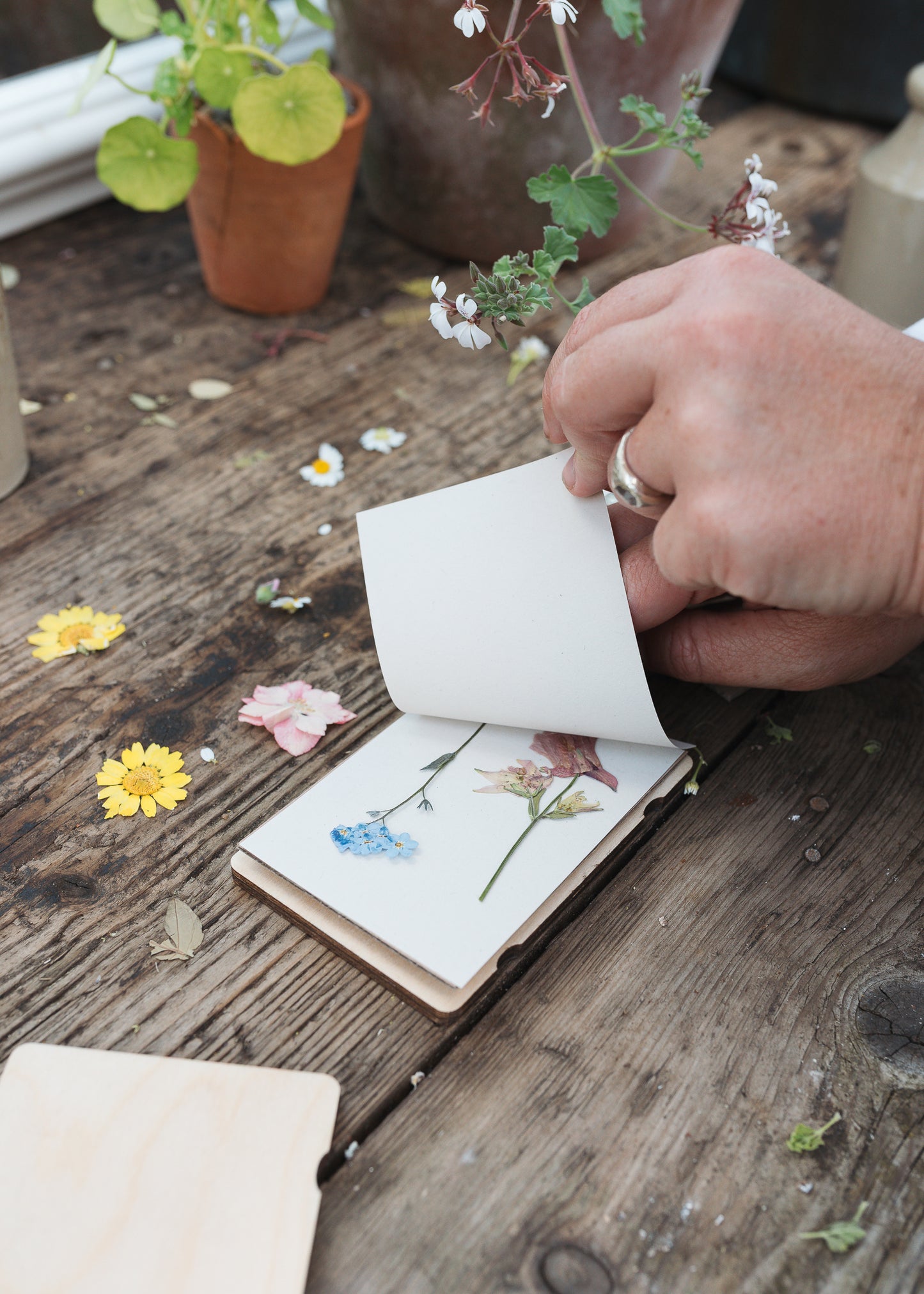 Pocket Flower Press - Flower & Stems
