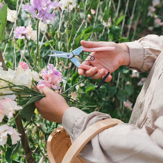 Botanical Gift Set: Flower Press & Blush Pink Snips 03