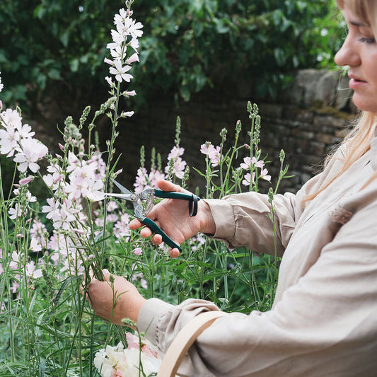 Botanical Gift Set: Cosmos Pocket Press & Precision Garden Snips 09