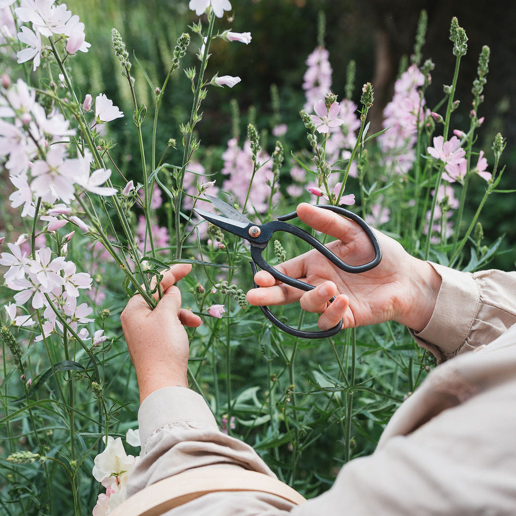 Botanical Gift Set: Flower Press, Garden Scissors & Planting Guide 05