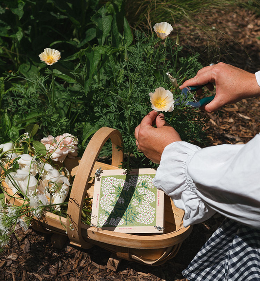 Flower Press - Forget Me Not