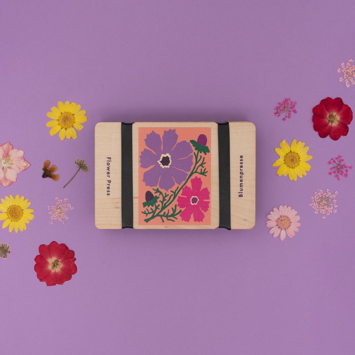 Mini Flower Press with Cosmos Flowers by Studio Wald