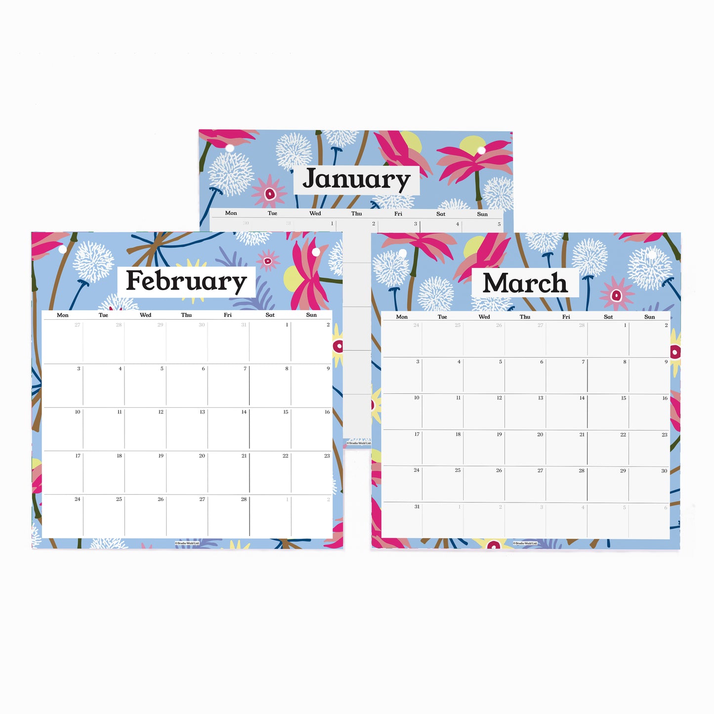 2026 Pinboard Calendar - Dried Floral