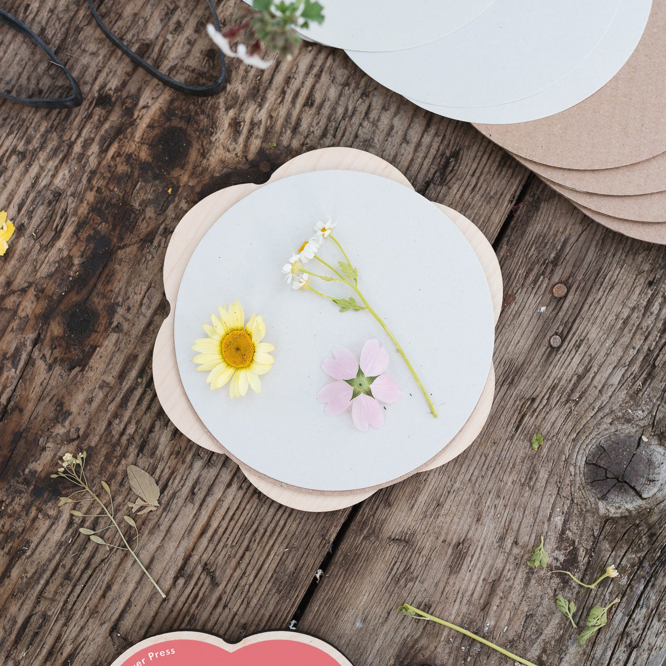 Flower Shaped Press - Pinks