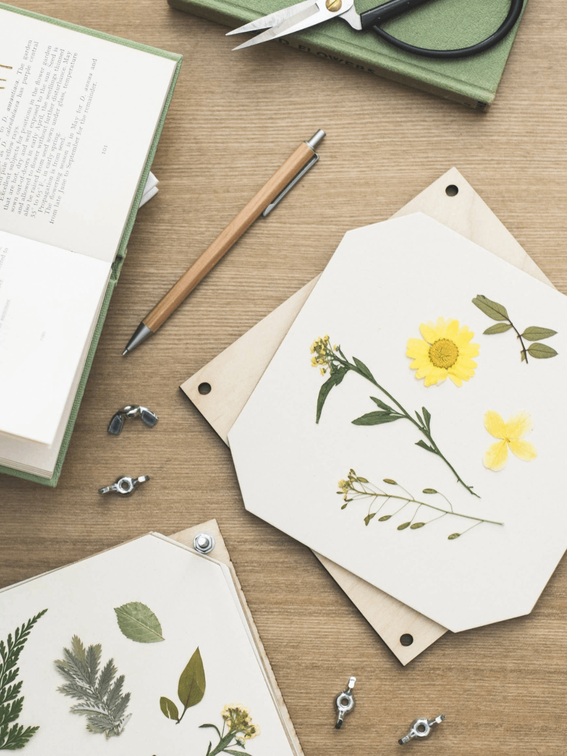 Pressed Flowers in a Flower Press by Studio Wald
