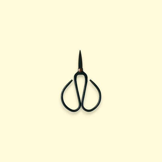 Small Scissors