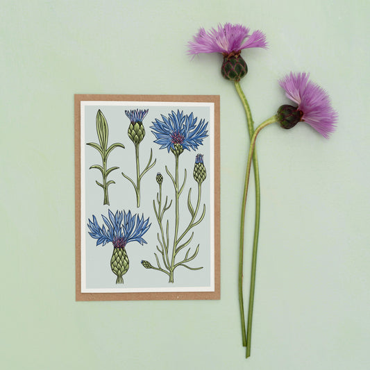 All Occasions A6 Card - Vintage Cornflower