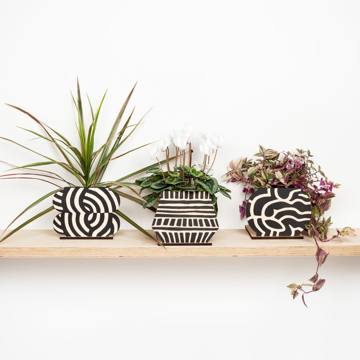Pot Screen - Cubes