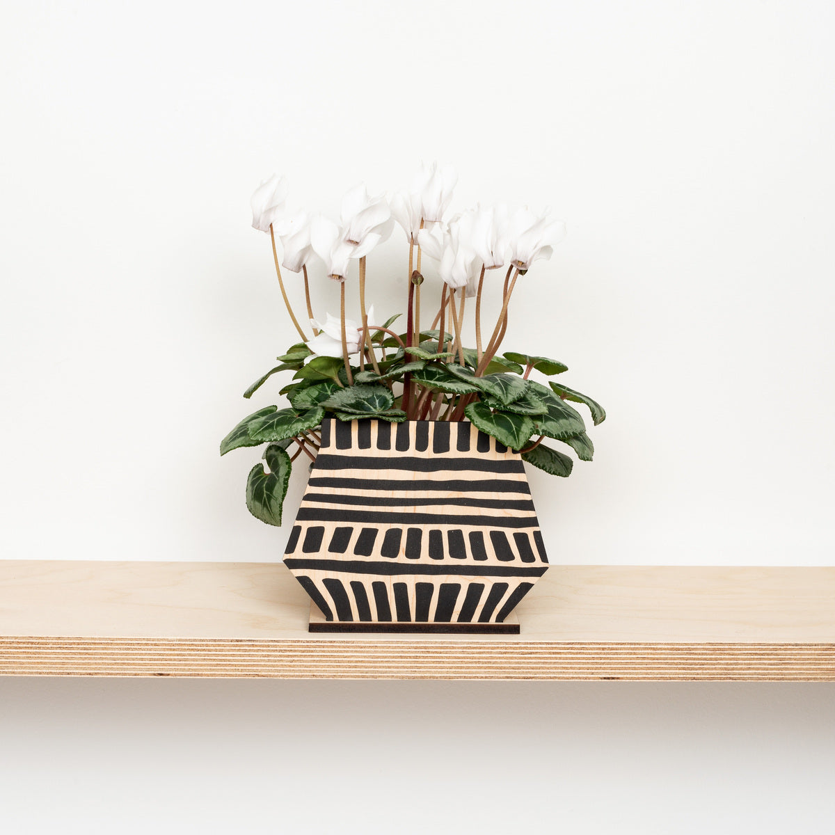 Pot Screen - Cubes
