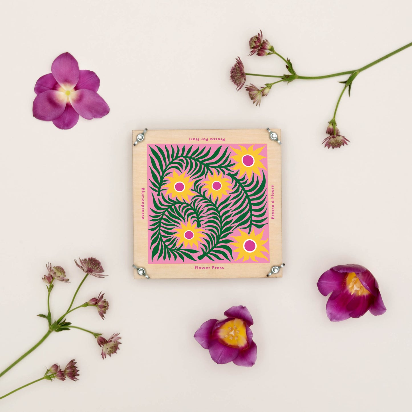 Flower Press - Teasel