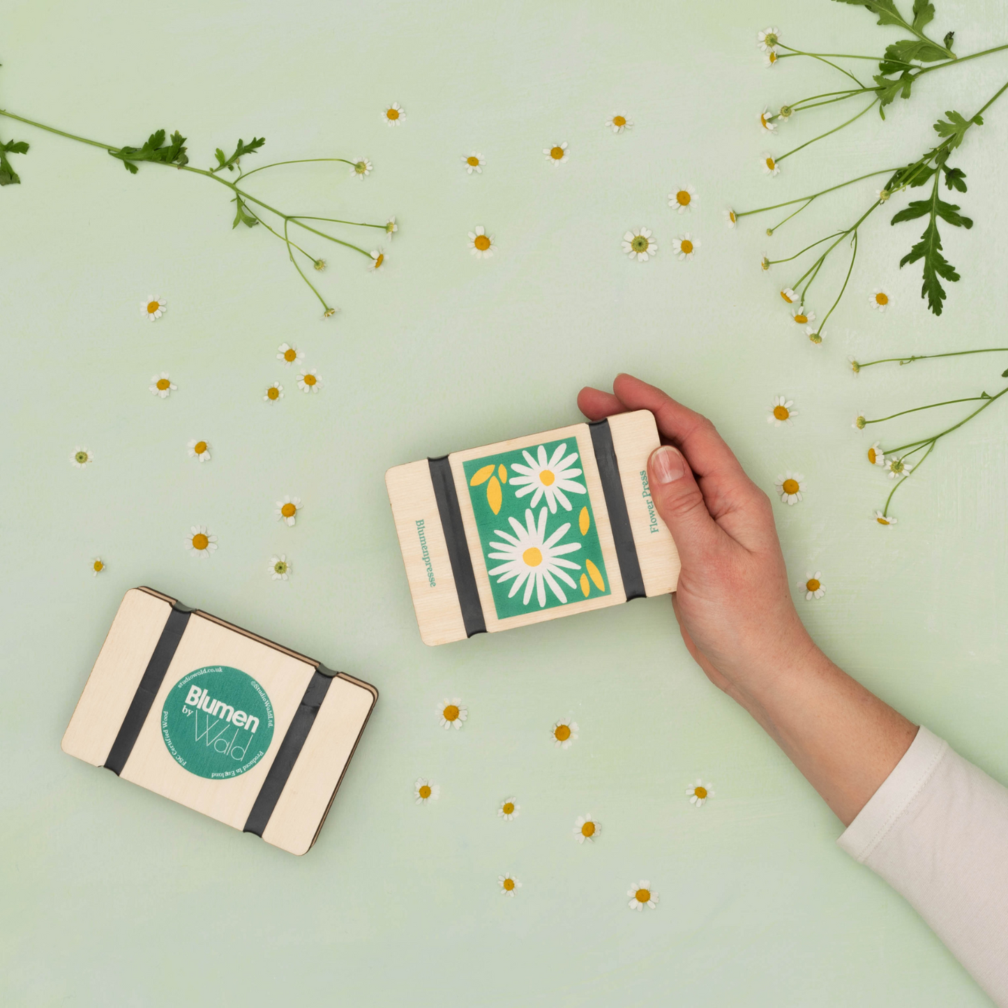Mini Flower Press With Daisy Design by Studio Wald