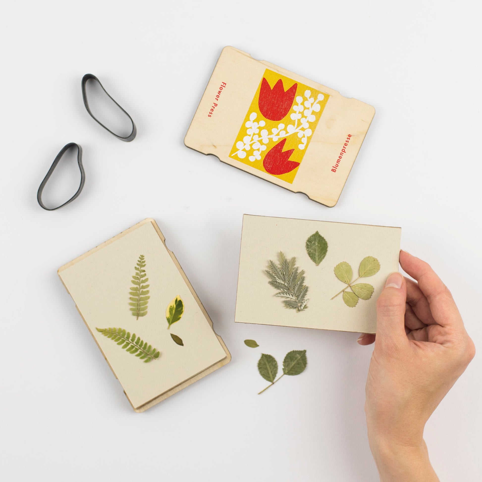 Mini Flower Press With Tulip Design by Studio Wald