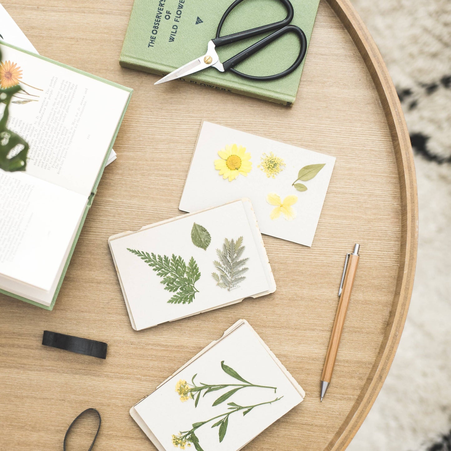 Flowers pressed by Mini Flower Press by Studio Wald