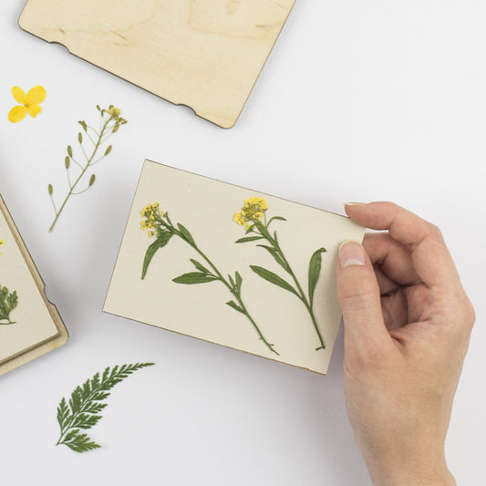 Pocket Flower Press Refill Sets
