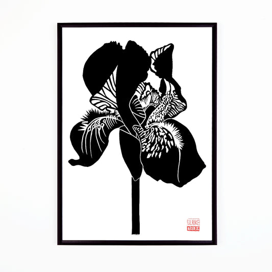 A3 Lino Print -Iris Black