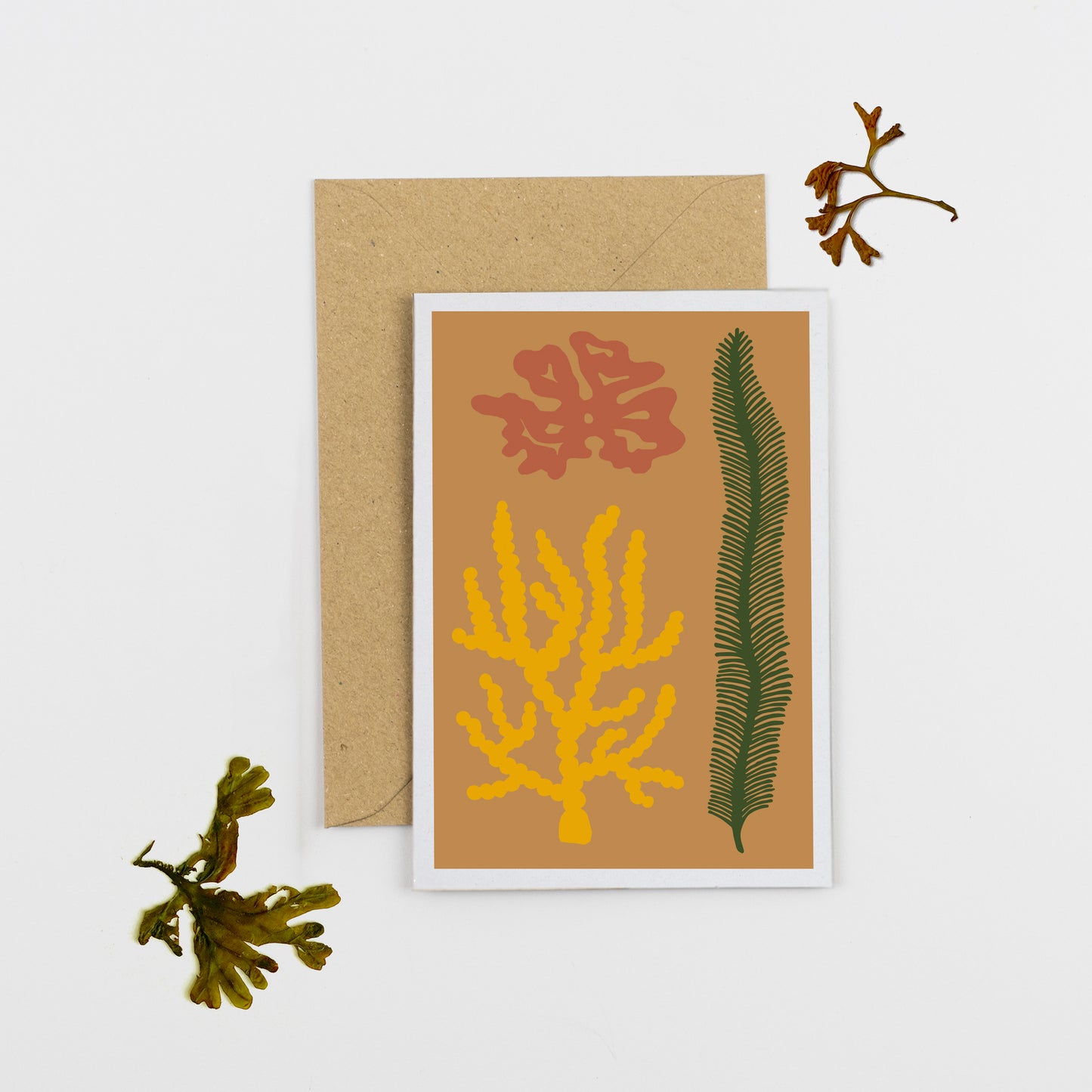 Seaweed Card - Mustard