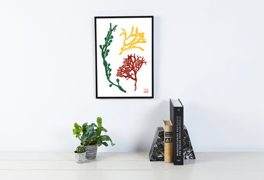 A3 Lino Print - Seaweed