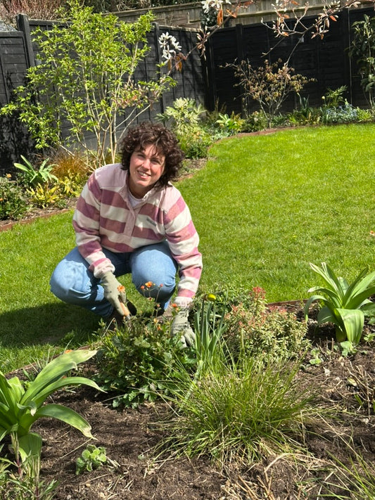 Pressed in Time: A Conversation with Lora of Urban Greenery