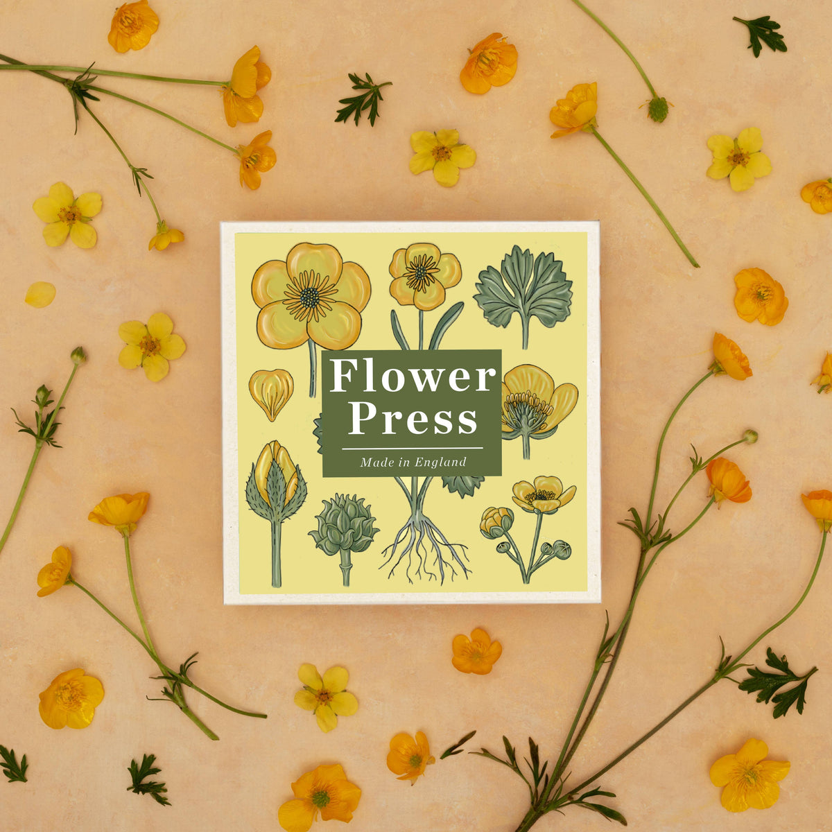 SECONDS Flower Press - Vintage Buttercup