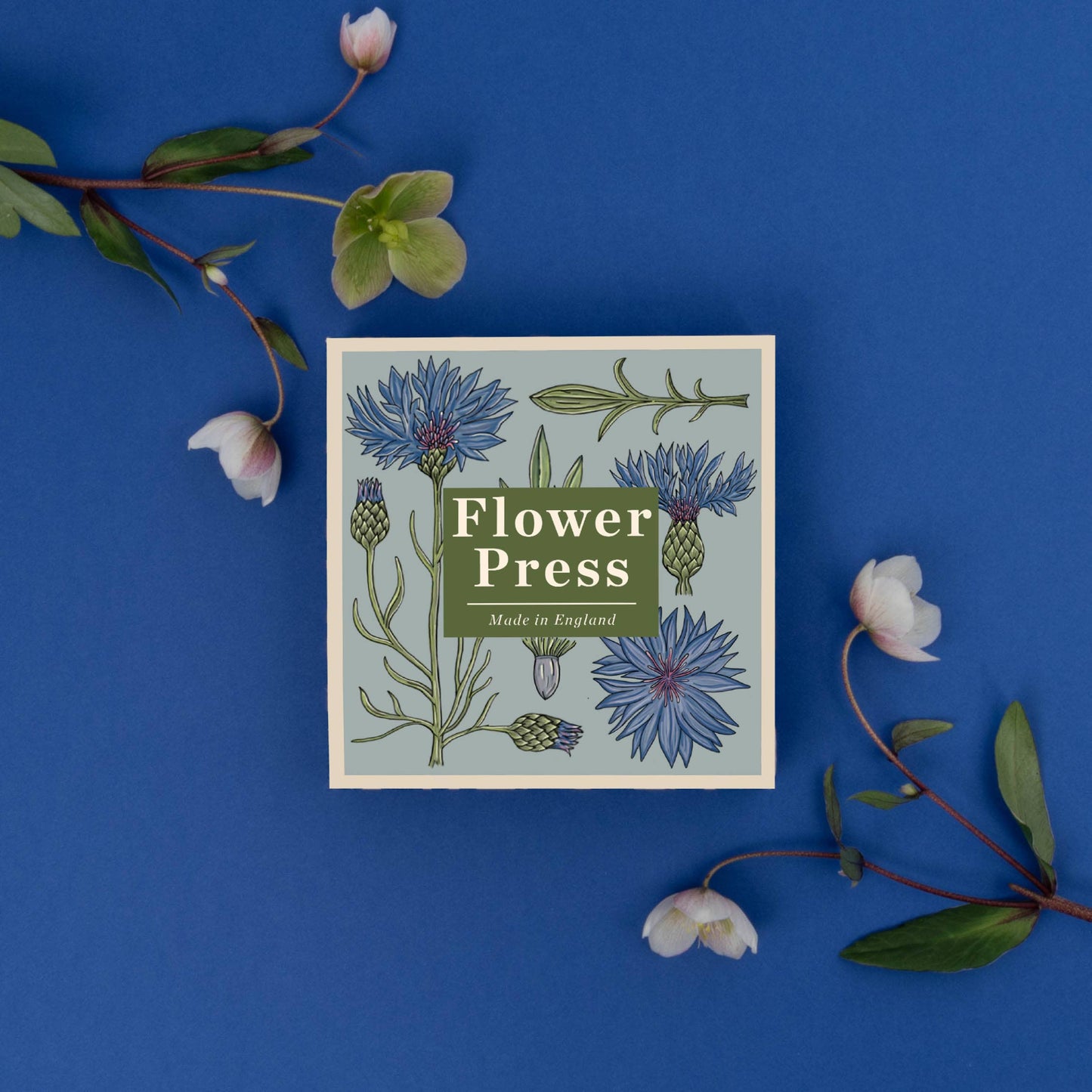 PREORDER - Flower Press - Cornflower