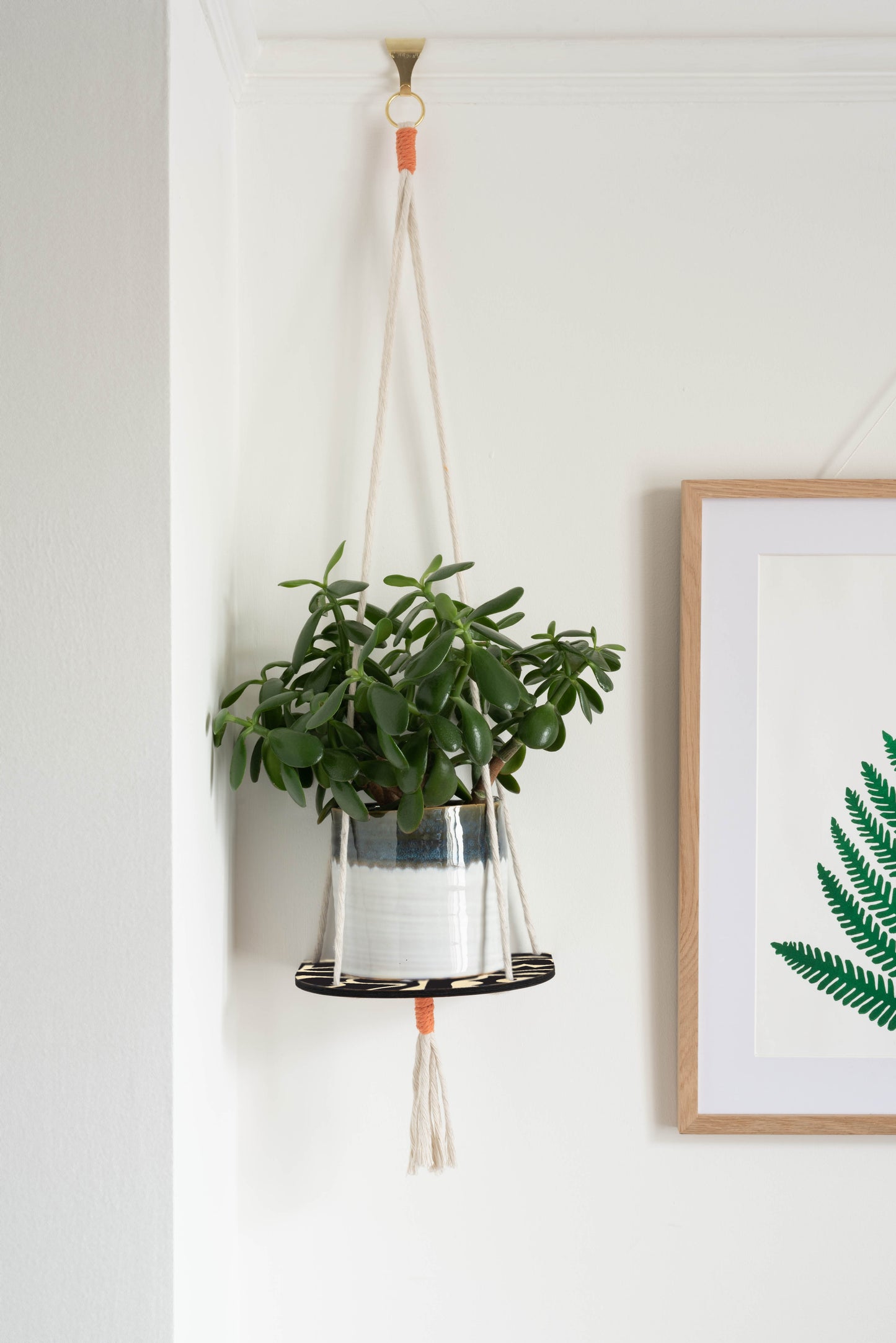 Hanging Plant Shelf - Black Abstract