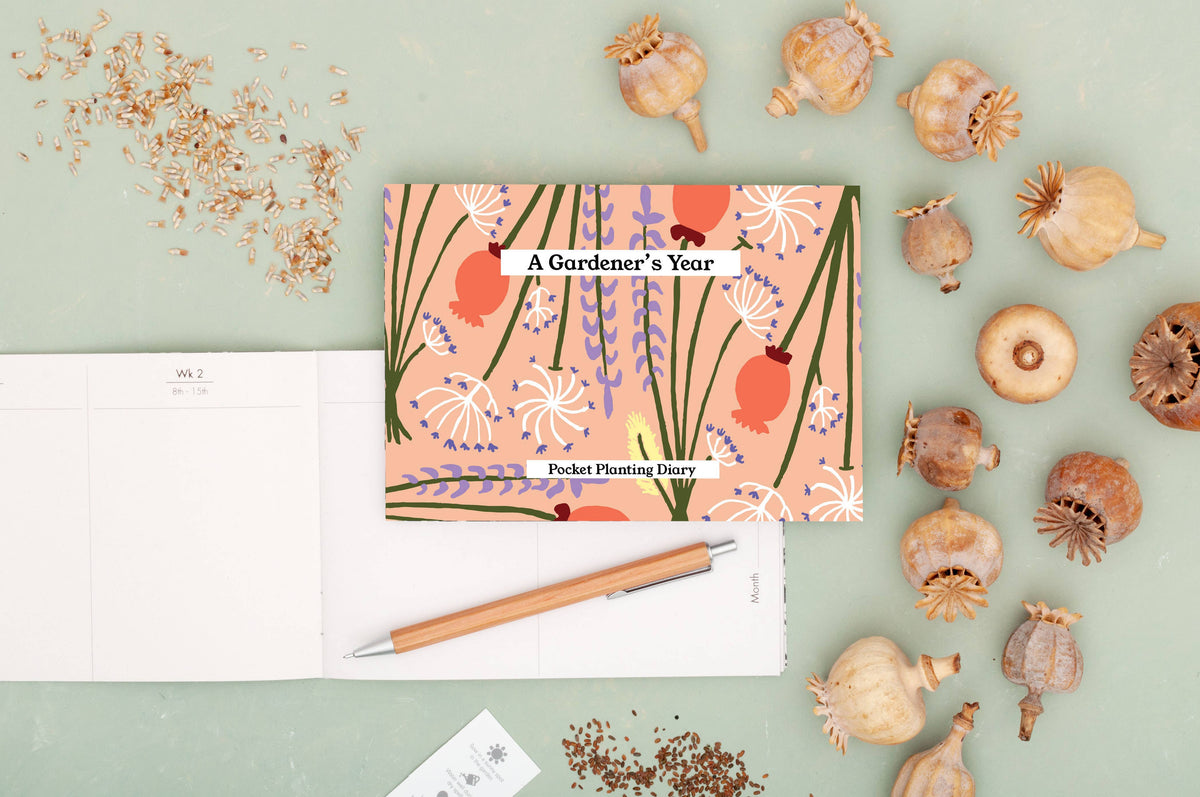 SECONDS Gardener's Diary - Peach