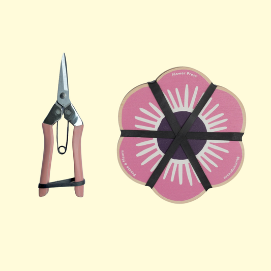 Botanical Gift Set: Flower Press & Blush Pink Snips 03