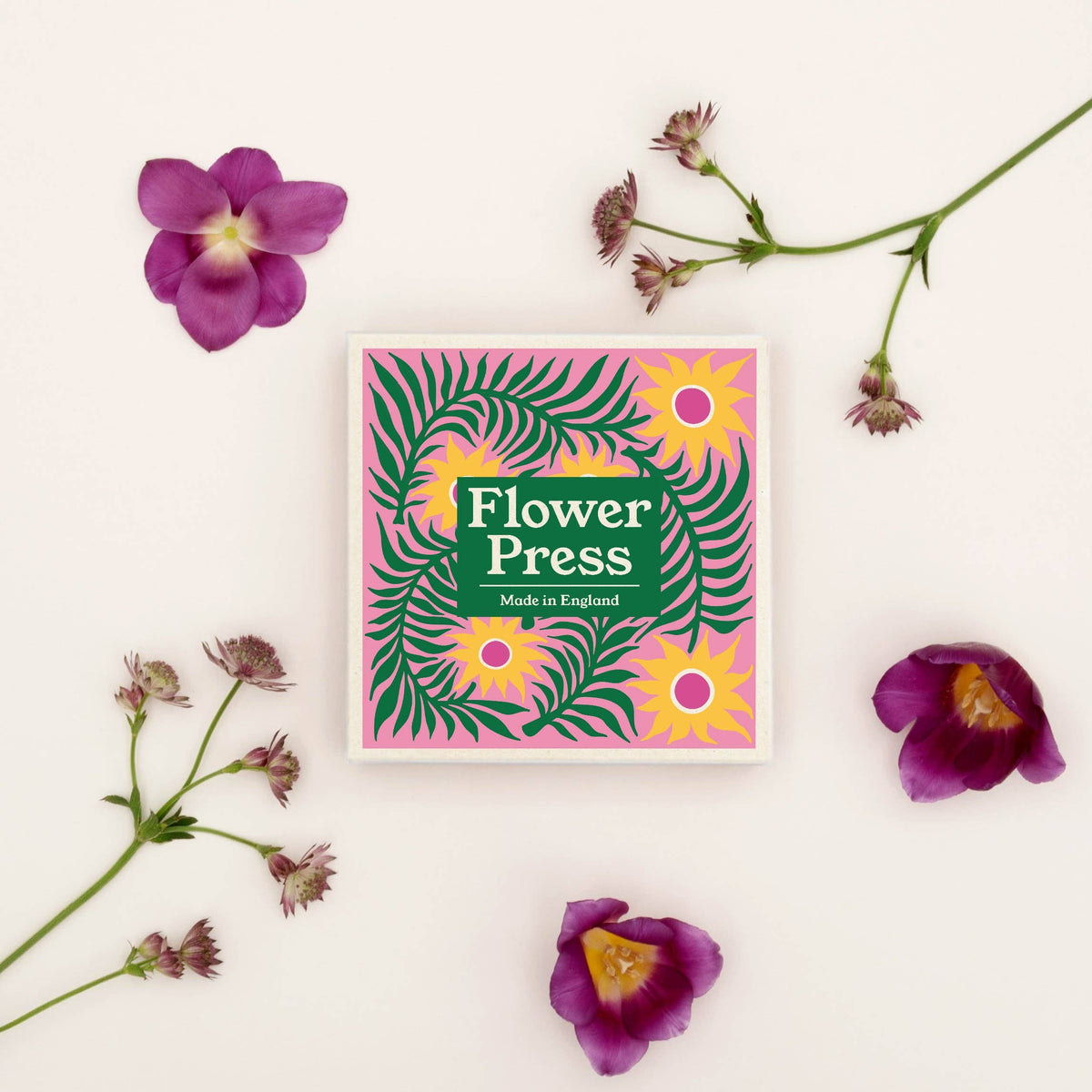SECONDS Flower Press - Teasel