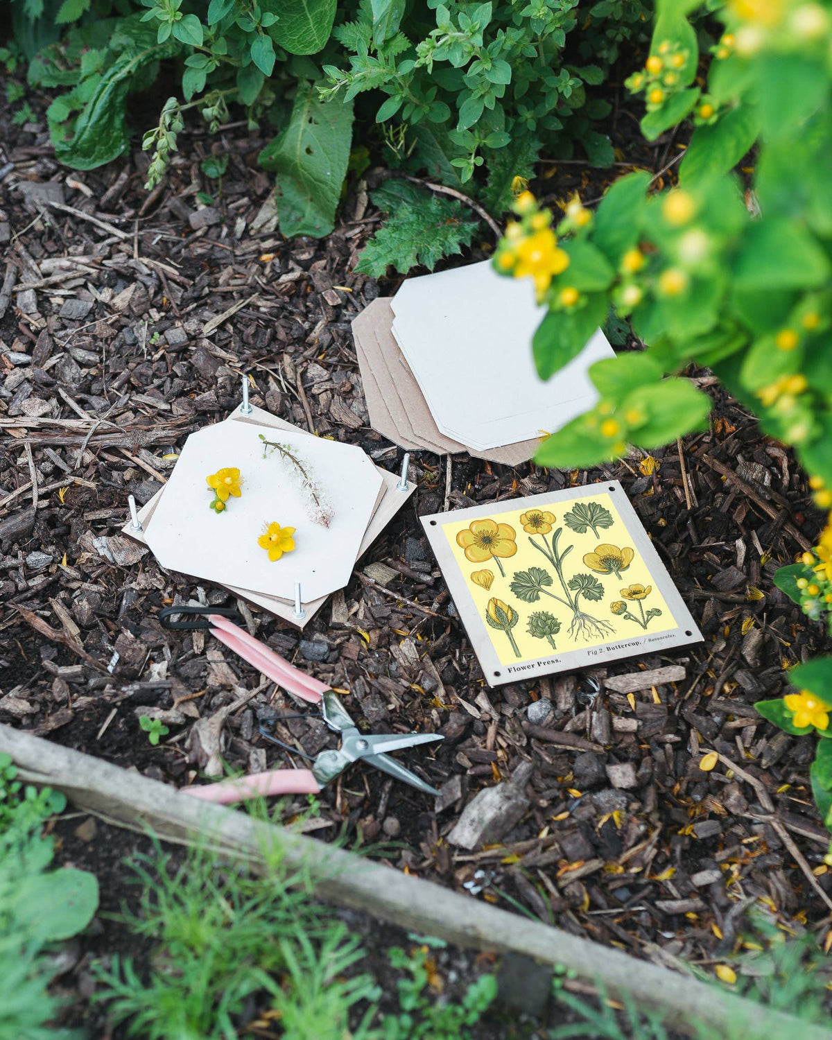 SECONDS Flower Press - Vintage Buttercup