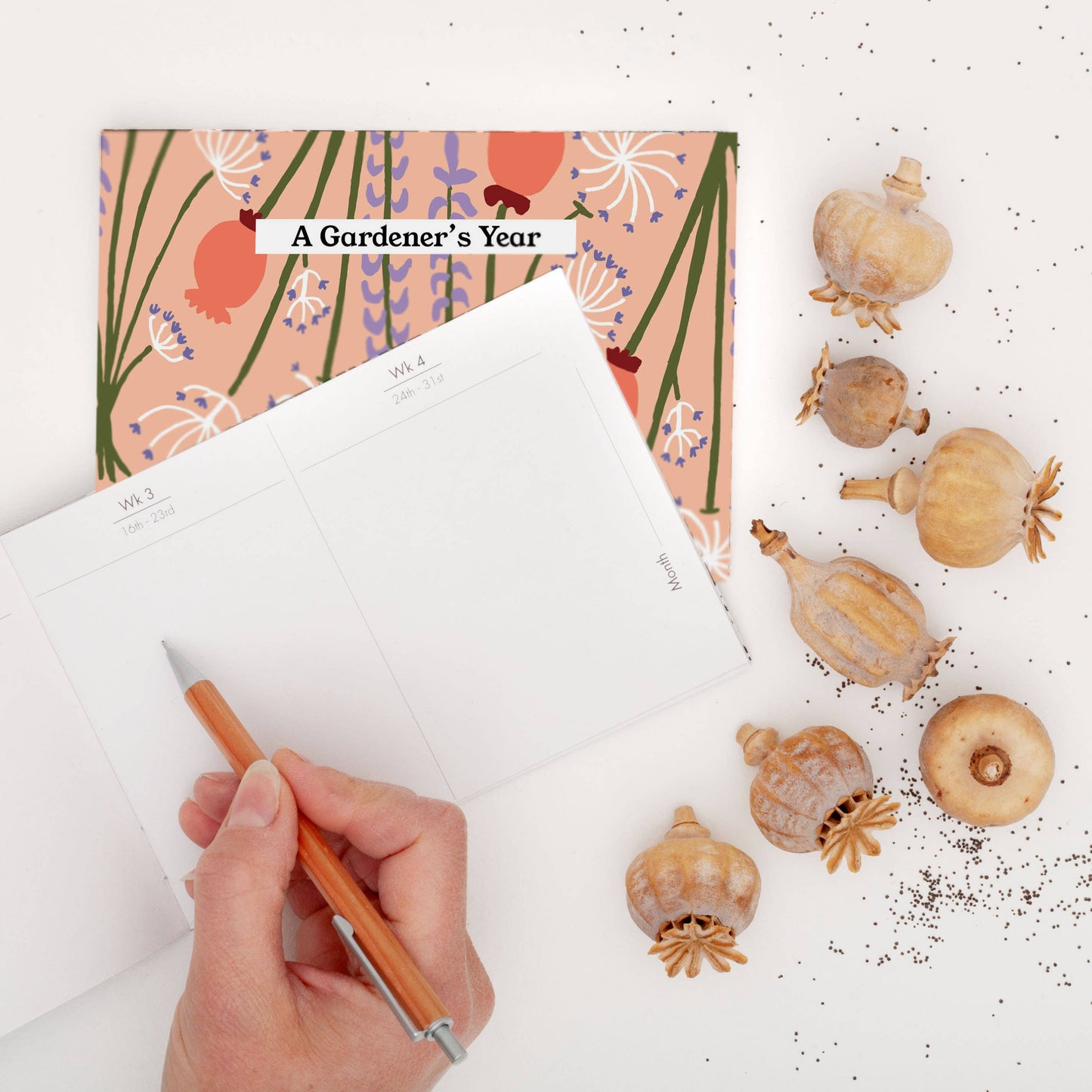 Gardener's Diary - 'Dried' - Peach