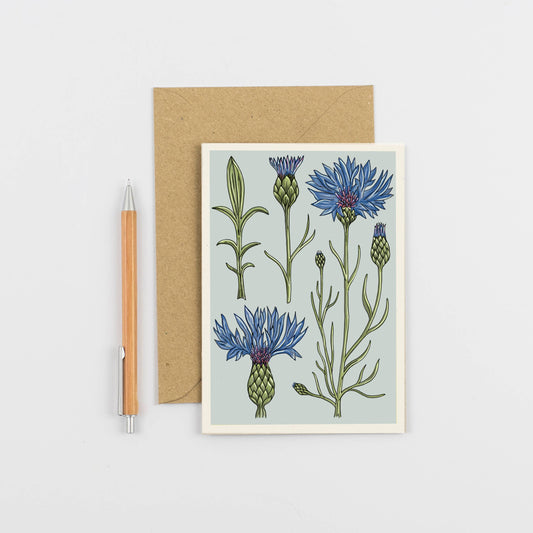 All Occasions A6 Card - Vintage Cornflower