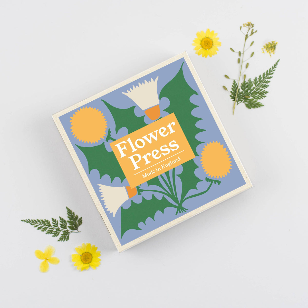 SECONDS Flower Press - Dandelion