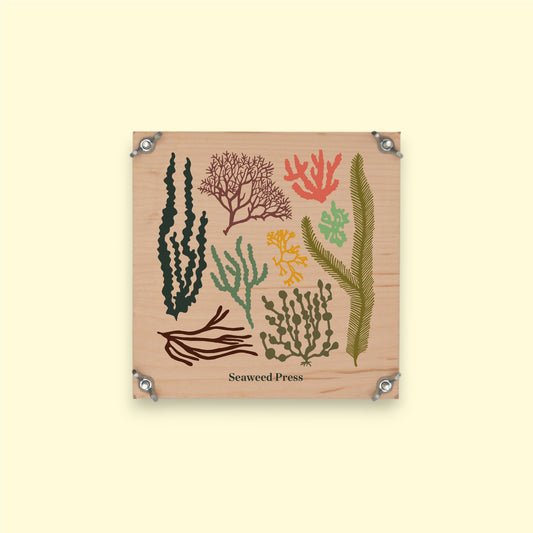 Seaweed Press