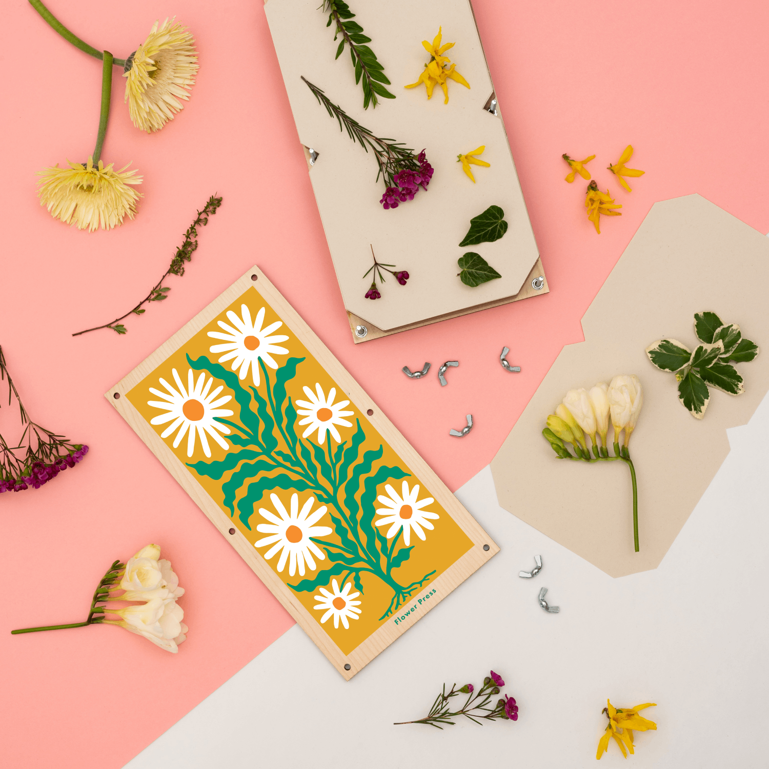 Extra Large Flower Press with Daisy Design by Studio Wald