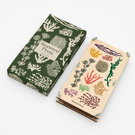 Extra Large Seaweed Pressing Kit by Studio Wald