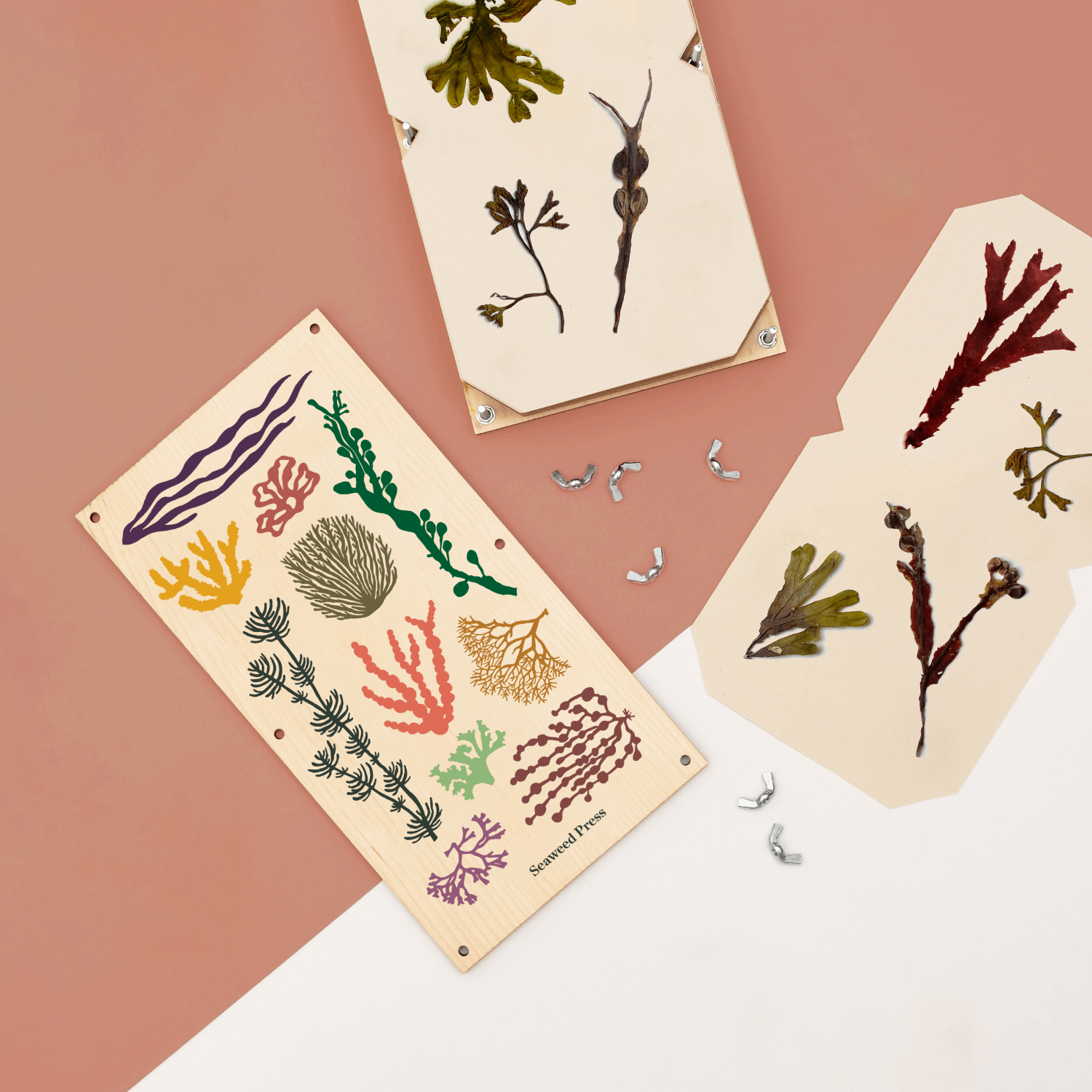 Extra Large Seaweed Pressing Kit by Studio Wald