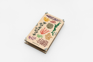 Extra Large Seaweed Pressing Kit by Studio Wald